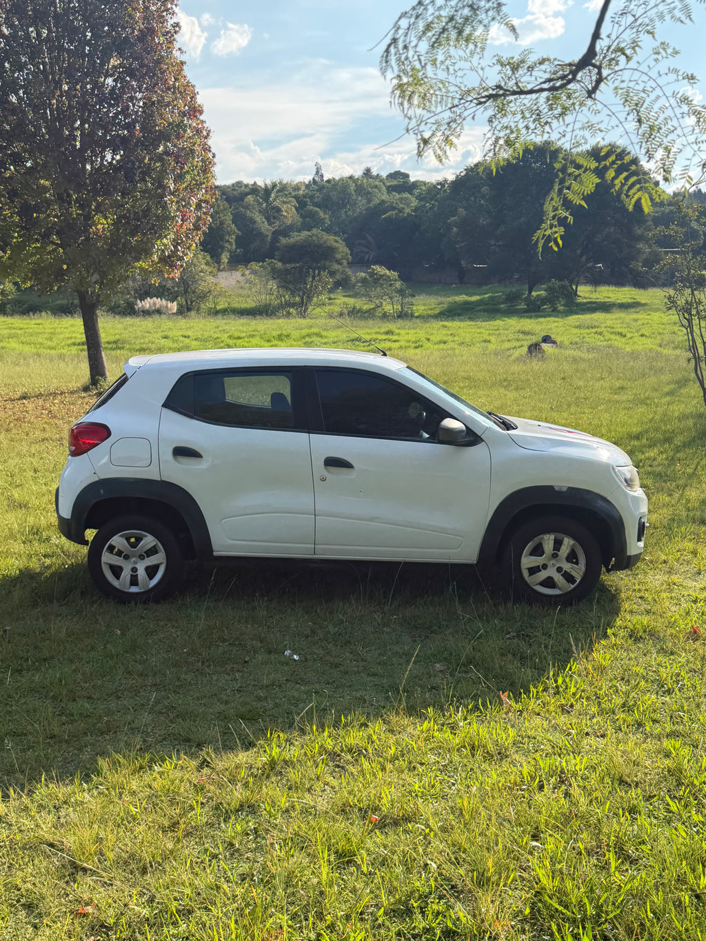 Renault Quid 2020 automatic